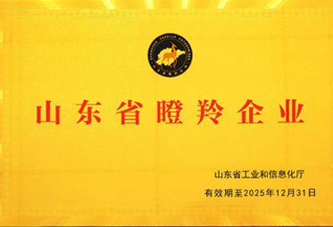 淄博朗达复合材料有限公司荣获2022年“山东省瞪